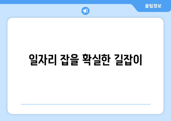 일자리 잡을 확실한 길잡이