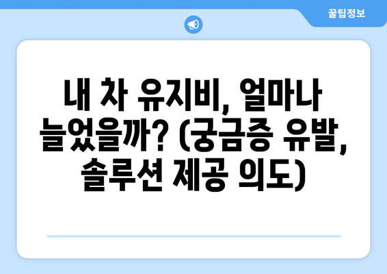 내 차 유지비, 얼마나 늘었을까? (궁금증 유발, 솔루션 제공 의도)