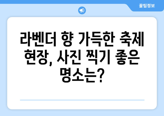 2024 허브아일랜드 라벤더 축제 완벽 가이드| 주차, 숙소, 맛집 정보부터 사진 명소까지 | 라벤더 향연, 이색 디저트, 여름 여행