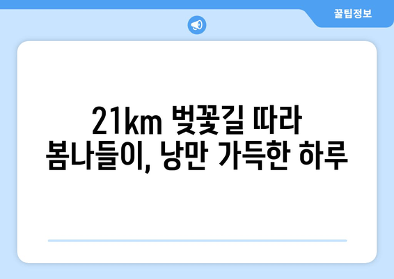 2024년 송파둘레길 벚꽃 축제 완벽 가이드| 주차, 숙소, 맛집 정보 총정리 | 21km 벚꽃길, 봄나들이 추천