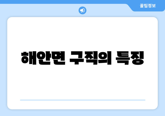 해안면 구직의 특징