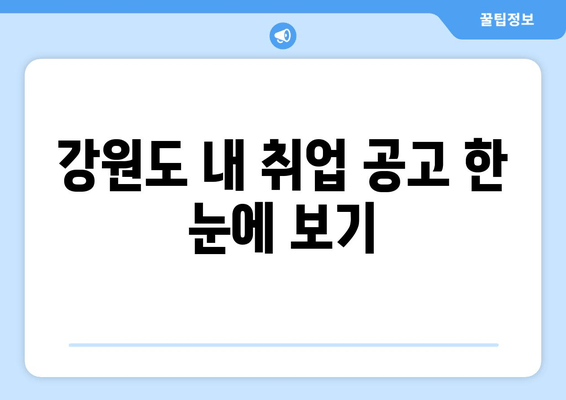 강원도 내 취업 공고 한 눈에 보기