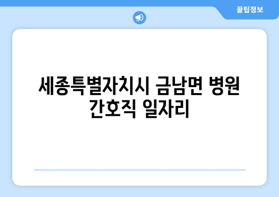 세종특별자치시 금남면 병원 간호직 일자리