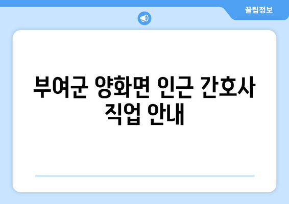 부여군 양화면 인근 간호사 직업 안내