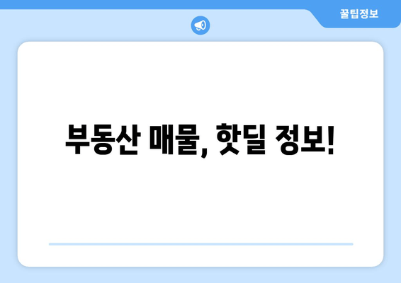 부동산 매물, 핫딜 정보!