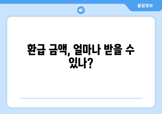 환급 금액, 얼마나 받을 수 있나?