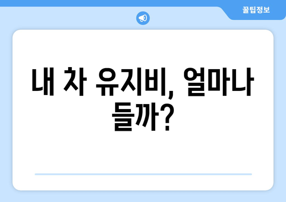 내 차 유지비, 얼마나 들까?
