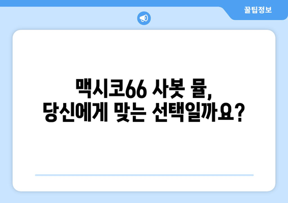 오니츠카타이거 맥시코66 사봇 뮬 솔직 후기| 장점, 단점, 그리고 착용감까지! | 편안함과 스타일, 당신의 선택은?