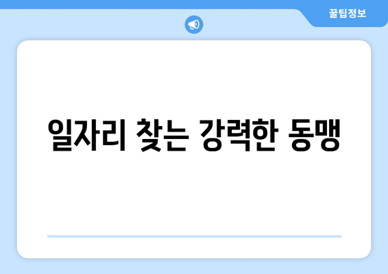 일자리 찾는 강력한 동맹