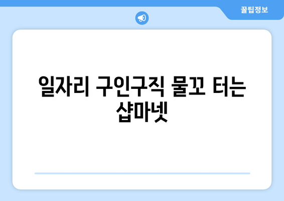 일자리 구인구직 물꼬 터는 샵마넷