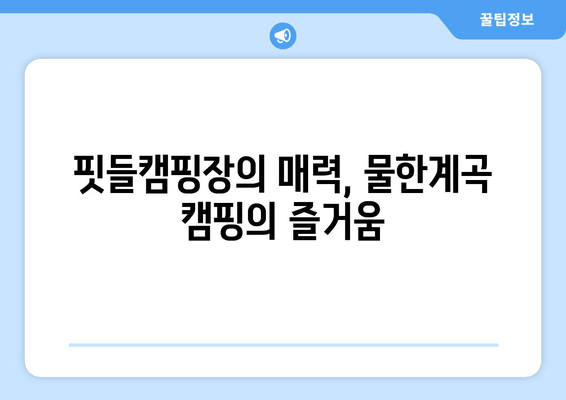 핏들캠핑장| 충북 영동군 근교 캠핑의 완벽 가이드 | 예약, 추천, 시설, 연락처, 물한계곡 캠핑