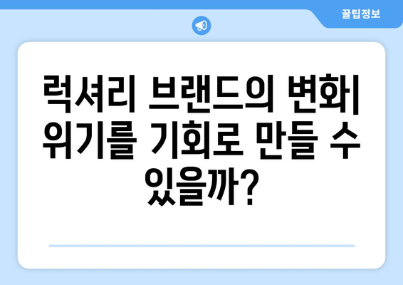 주식 기록 | 위기에 처한 럭셔리 브랜드 심층 분석| 투자 전략과 미래 전망 | 주식, 럭셔리, 투자, 위기