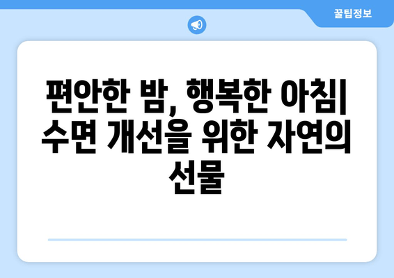 수면 보조제 의존 탈출| 자연적인 대안으로 편안한 밤 되찾기 | 수면 개선, 자연 수면제, 숙면, 불면증 극복