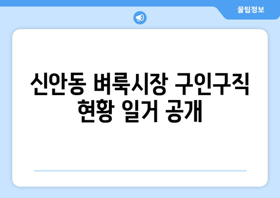 신안동 벼룩시장 구인구직 현황 일거 공개