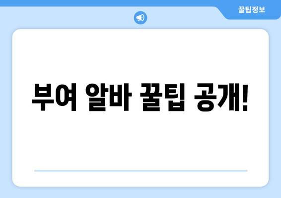 부여 알바 꿀팁 공개!