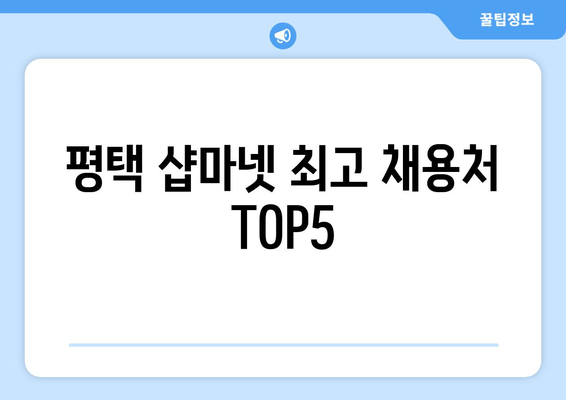 평택 샵마넷 최고 채용처 TOP5