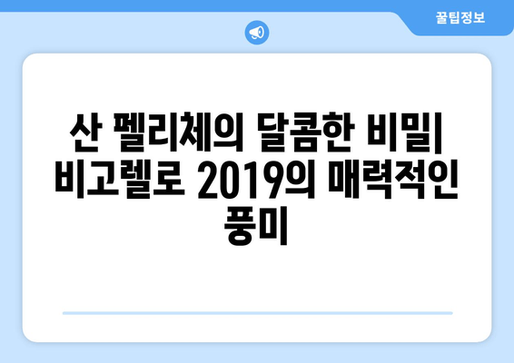 비고렐로 2019 | 산 펠리체의 맛있는 산출물 - 와인의 풍미를 탐험하다 | 이탈리아 와인, 와인 테이스팅, 비고렐로