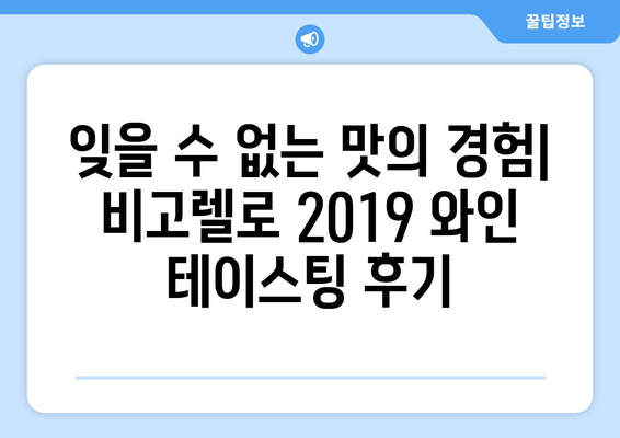 비고렐로 2019 | 산 펠리체의 맛있는 산출물 - 와인의 풍미를 탐험하다 | 이탈리아 와인, 와인 테이스팅, 비고렐로