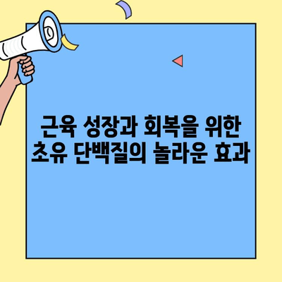 초유 단백질, 운동 성능 향상의 비밀| 작동 원리와 효과적인 활용 가이드 | 운동, 근육 성장, 회복, 영양