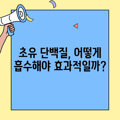 초유 단백질 생체 이용률 & 흡수율 극대화 가이드 | 영양 흡수, 최적화 전략, 건강 효과