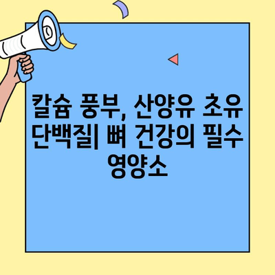 강철 같은 뼈 건강| 고칼슘 산양유 초유 단백질의 놀라운 효능 | 뼈 건강, 산양유, 초유 단백질, 칼슘, 건강식품