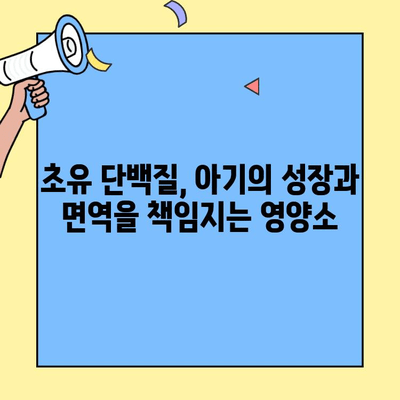 초유 단백질 대사 과정| 단계별 상세 가이드 | 영양, 면역, 성장