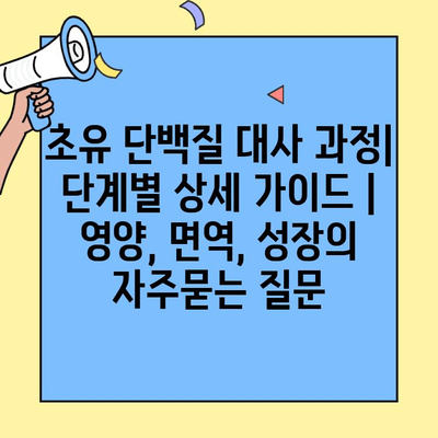 초유 단백질 대사 과정| 단계별 상세 가이드 | 영양, 면역, 성장