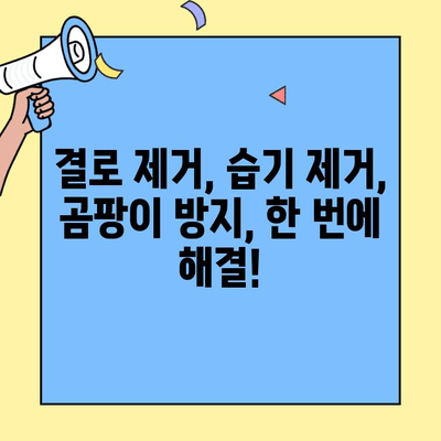 투룸 이사 후 창문 결로, 이제 걱정 끝! 완벽 제거 솔루션 | 결로 제거, 습기 제거, 곰팡이 방지, 투룸 인테리어