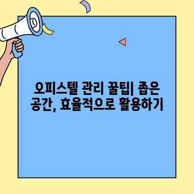 원룸, 투룸 오피스텔 이사 전후 청소 & 관리 꿀팁| 깨끗하고 편리한 공간 만들기 | 이사 청소, 오피스텔 관리, 집안 정리, 효율적인 공간 활용
