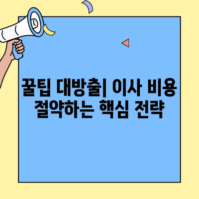 투룸 이사 후기 & 가성비 업체 탐구| 실제 경험 바탕으로 알려드리는 꿀팁 | 포장이사, 이삿짐센터, 가격 비교