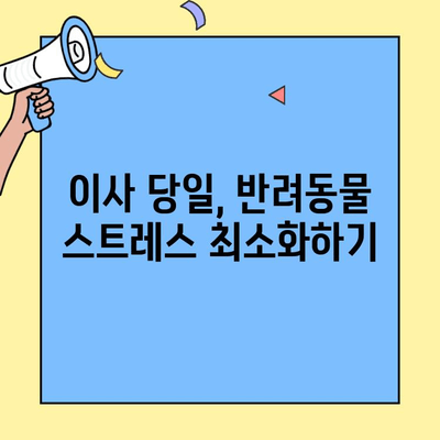 투룸 이사, 반려동물과 함께 안전하게! 완벽 대비 체크리스트  | 이사 준비,  애완동물 이동, 안전 가이드