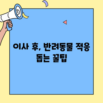 투룸 이사, 반려동물과 함께 안전하게! 완벽 대비 체크리스트  | 이사 준비,  애완동물 이동, 안전 가이드