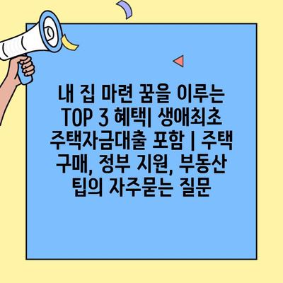 내 집 마련 꿈을 이루는 TOP 3 혜택| 생애최초 주택자금대출 포함 | 주택 구매, 정부 지원, 부동산 팁
