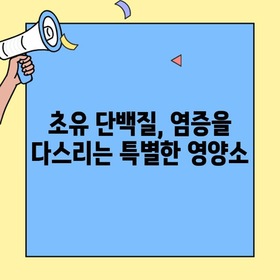 초유단백질의 염증 완화 효과| 작용 원리와 활용 방법 | 면역력 강화, 건강 관리, 영양 정보