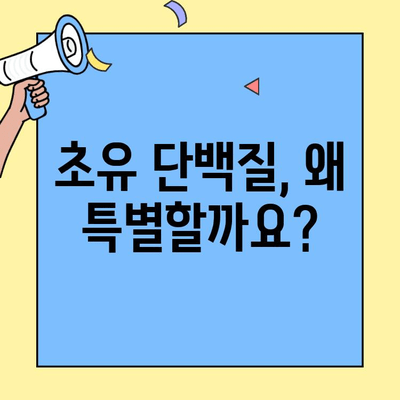 초유단백질 프로틴| 효과적인 섭취 가이드 | 효능, 복용법, 추천 분말