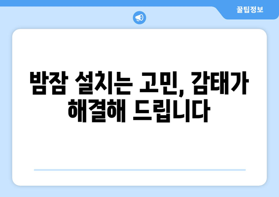 불면증 극복, 감태 추출물 수면 영양제가 답? | 수면 개선, 감태 효능, 불면증 해결