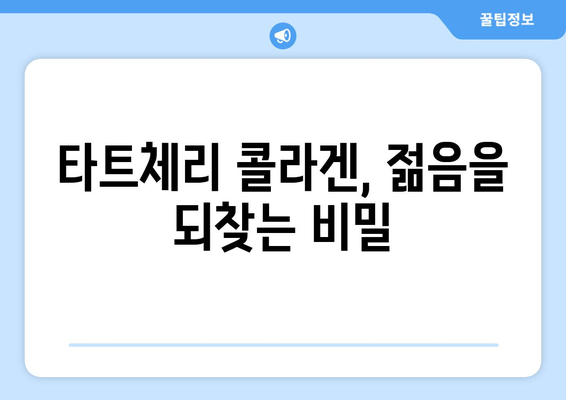 타트체리 콜라겐의 놀라운 효능| 숙면과 아름다움을 위한 선택 | 타트체리, 콜라겐, 수면 개선, 피부 건강, 뷰티
