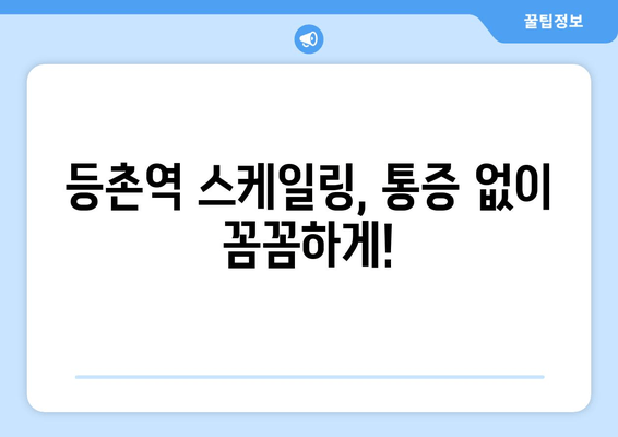 등촌역 근처 통증 없는 스케일링 치료| 꼼꼼한 치과 선택 가이드 | 스케일링, 치과 추천, 치료 후기