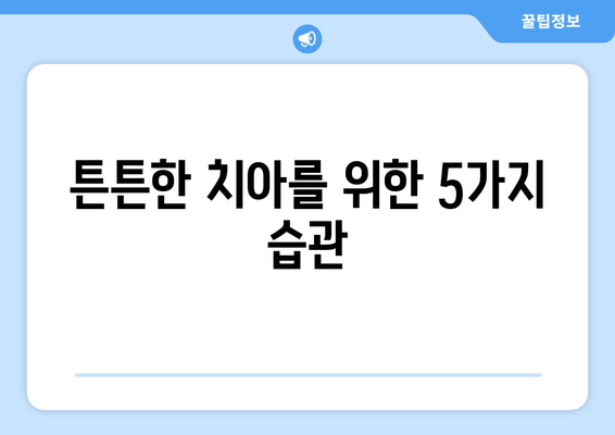 임플란트보다 소중한 나의 자연치아, 건강하게 지키는 5가지 방법 | 치아 건강, 자연치아 보존, 치과 관리, 구강 관리