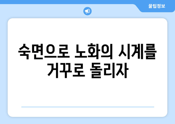 수면, 노화의 시계를 멈추는 놀라운 비밀 | 수면과 노화, 수면의 중요성, 노화 방지 팁