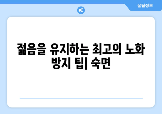 수면, 노화의 시계를 멈추는 놀라운 비밀 | 수면과 노화, 수면의 중요성, 노화 방지 팁