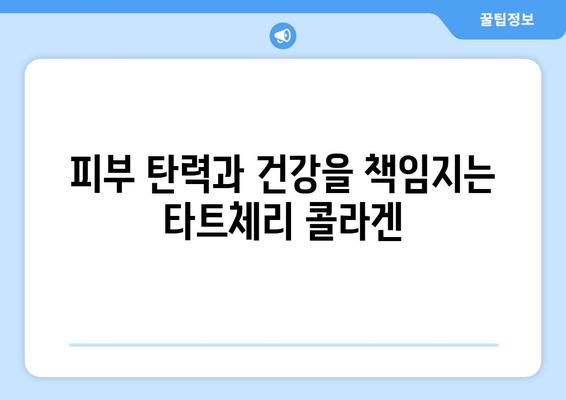 타트체리 콜라겐의 놀라운 효능| 숙면과 아름다움을 위한 선택 | 타트체리, 콜라겐, 수면 개선, 피부 건강, 뷰티