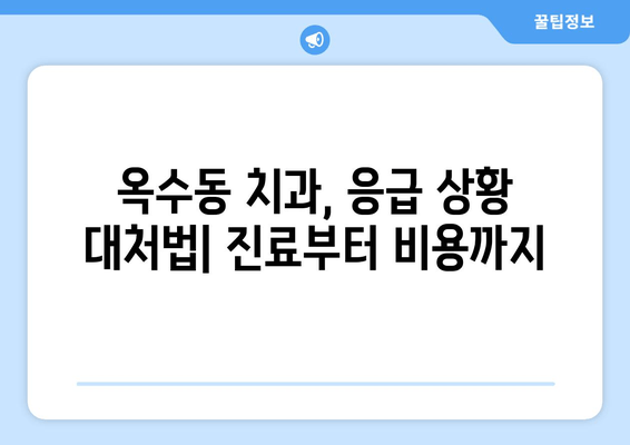 옥수동 근처 치과 갑작스런 얼굴 부기와 통증, 어떻게 대처해야 할까요? | 응급 상황, 치과 진료, 긴급 대처법