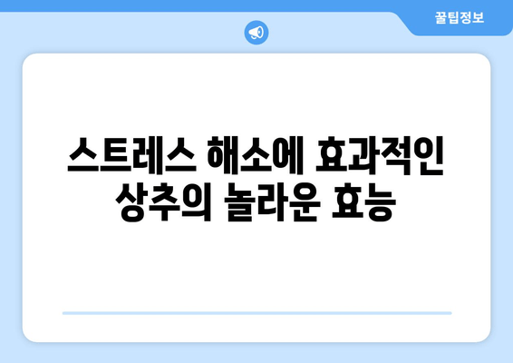 스트레스 해소와 숙면을 위한 상추의 효능| 수면에 도움이 되는 영양소 | 상추, 수면 개선, 스트레스 해소, 건강 식단