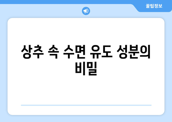 스트레스 해소와 숙면을 위한 상추의 효능| 수면에 도움이 되는 영양소 | 상추, 수면 개선, 스트레스 해소, 건강 식단
