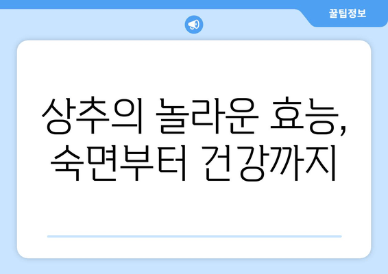 상추, 칼로리는 낮고 숙면은 UP! | 상추의 효능, 칼로리, 섭취 방법