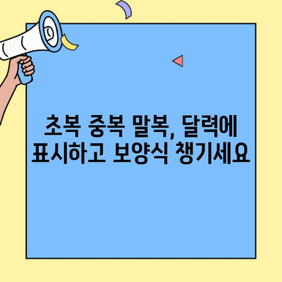 2023년 초복 중복 말복 날짜, 달력에 체크하고 건강 챙기세요! | 삼복더위, 보양식, 건강 관리