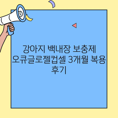 강아지 백내장 보충제 오큐글로젤컵셀 3개월 복용 후기| 눈 건강 개선 효과는? | 백내장, 강아지 눈 건강, 보충제 리뷰