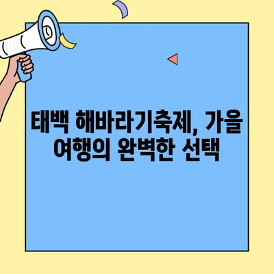 태백 해바라기축제| 백두대간 등마루를 노랗게 물들인 백만 송이 해바라기 만나보세요! | 태백 여행, 가을 축제, 해바라기 명소