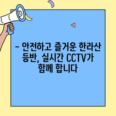 한라산 실시간 CCTV 바로가기| 등산 안전을 위한 실시간 영상 확인 | 한라산, 등산, 안전, CCTV, 실시간